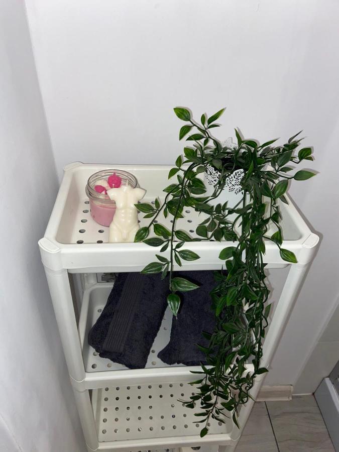 Apartament Grunwaldzka Bydhošť Exteriér fotografie